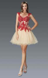 A-Line Jeweled Appliqued Short Mini Tulle Queen-Anne Dress